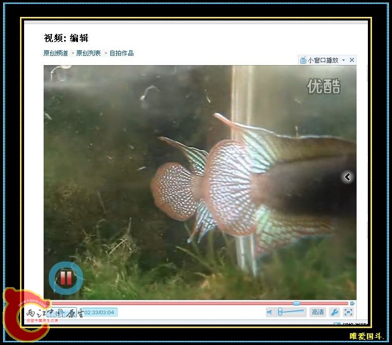 nEO_IMG_未命名.jpg