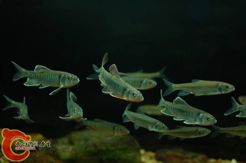 nEO_IMG_DSC_5794.jpg