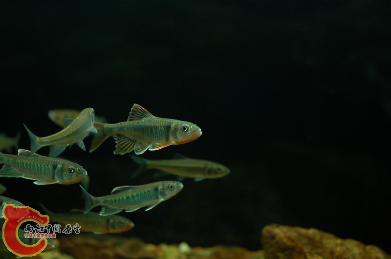 nEO_IMG_DSC_5795.jpg