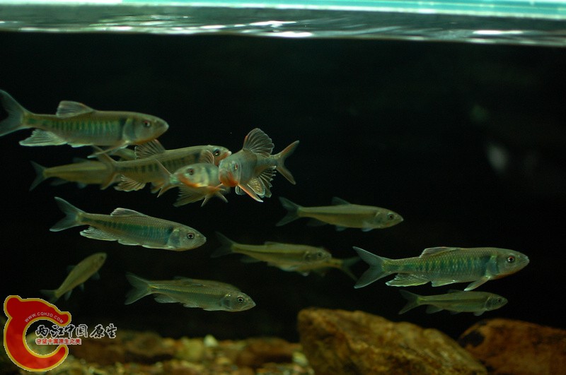 nEO_IMG_DSC_5824.jpg