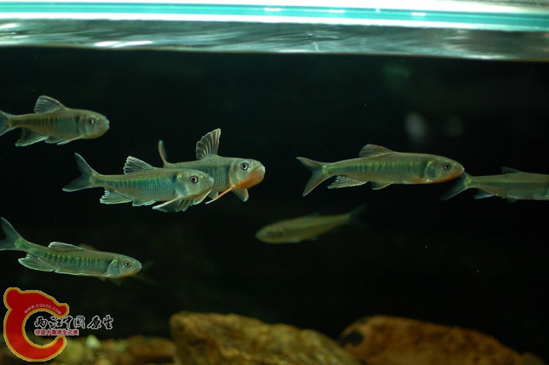 nEO_IMG_DSC_5863.jpg