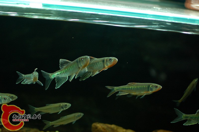 nEO_IMG_DSC_5848.jpg