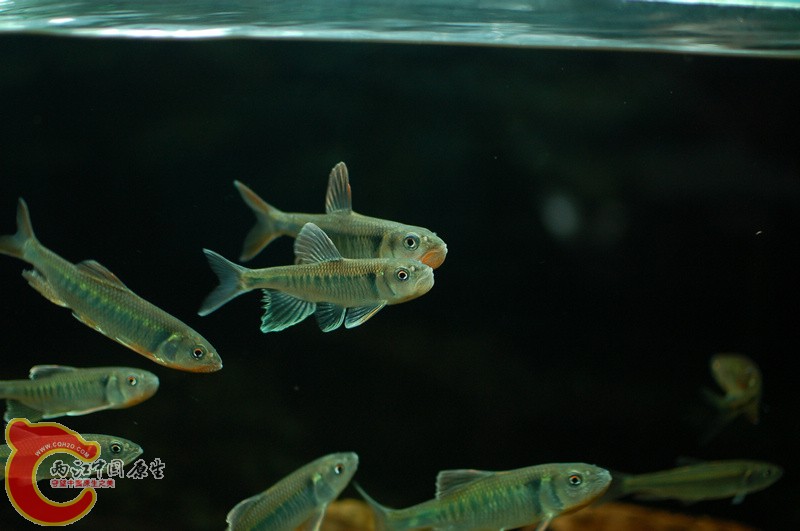 nEO_IMG_DSC_5872.jpg