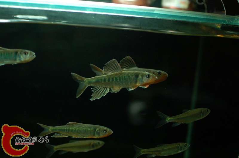 nEO_IMG_DSC_5892.jpg