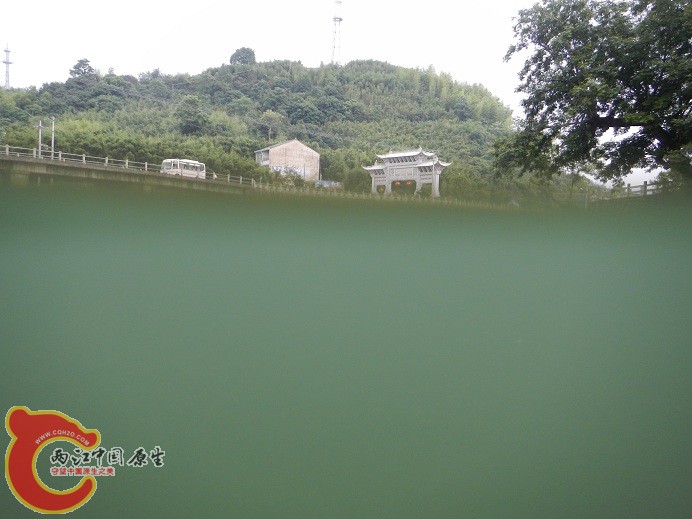 DSCN1568.jpg