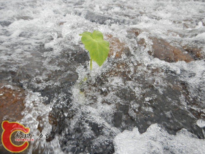 DSCN1577.jpg