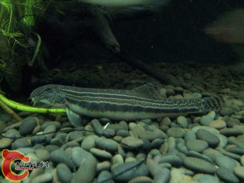 2012-06-19 19.01.13.jpg