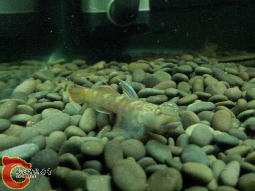 2012-06-19 19.00.47.jpg