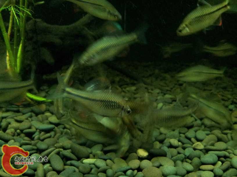 dcim@camera@2012-06-22 17_3435.jpg