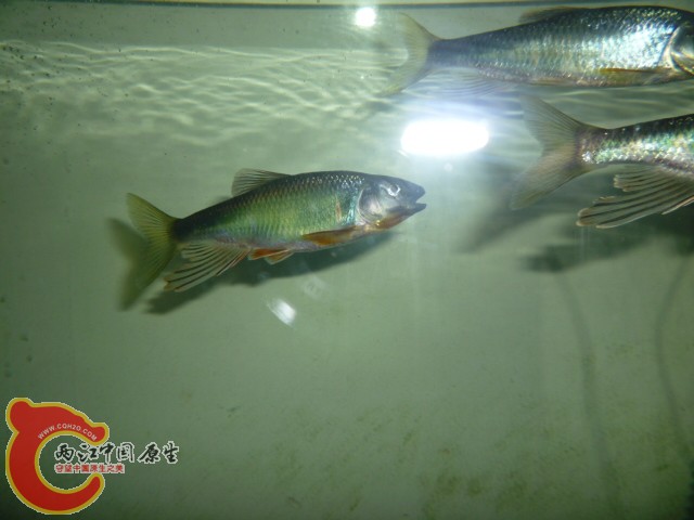 P1060151.JPG
