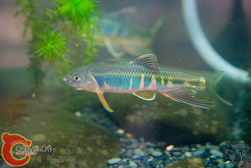 DSC_9693.jpg