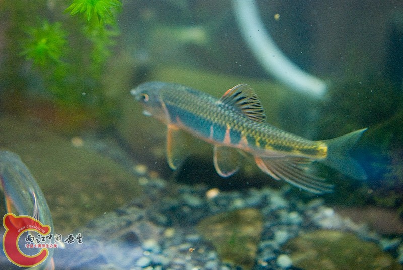 DSC_9702.jpg