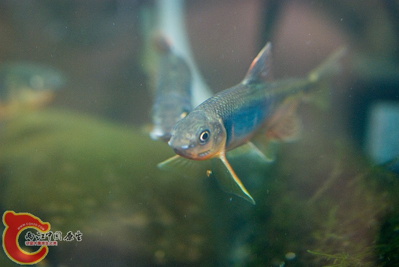 DSC_9704.jpg