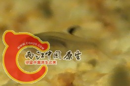 SLMYY2V87Q4FN%O@@E][4.jpg