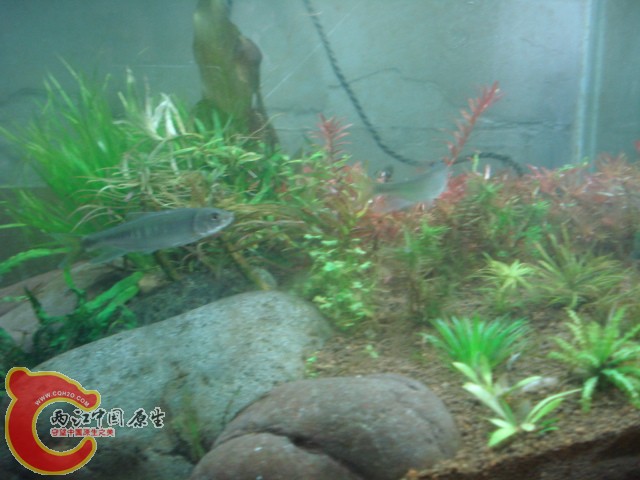 DSC05919.JPG