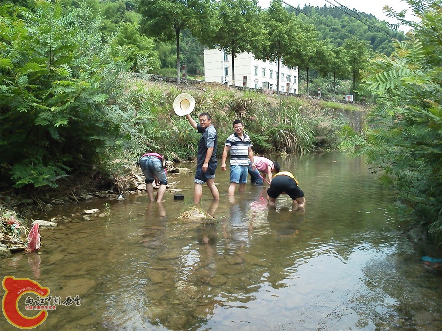 IMG_20120622_133532.jpg