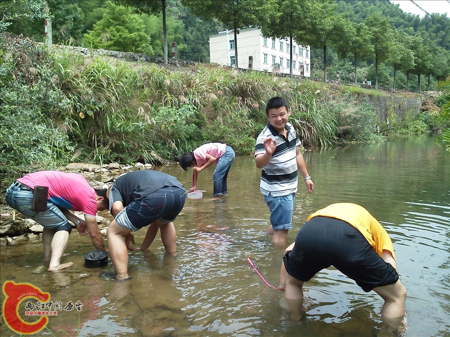 IMG_20120622_133619.jpg