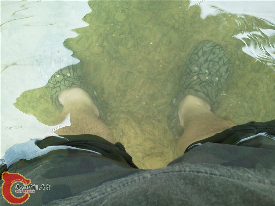 IMG_20120622_134030.jpg