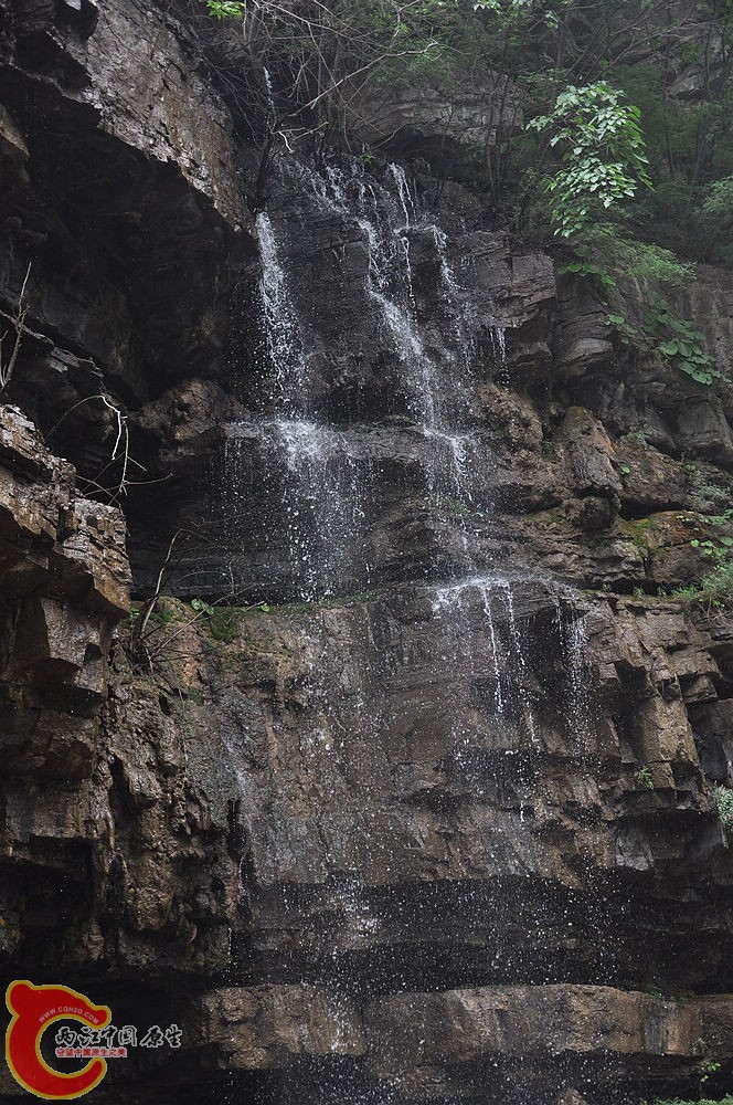 DSC_0059.jpg