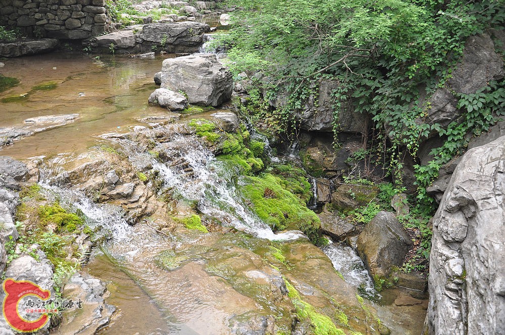 DSC_0065.jpg