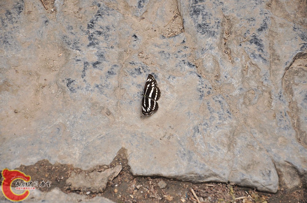 DSC_0072.jpg