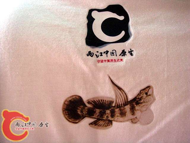 原色褐吻论坛款9.jpg