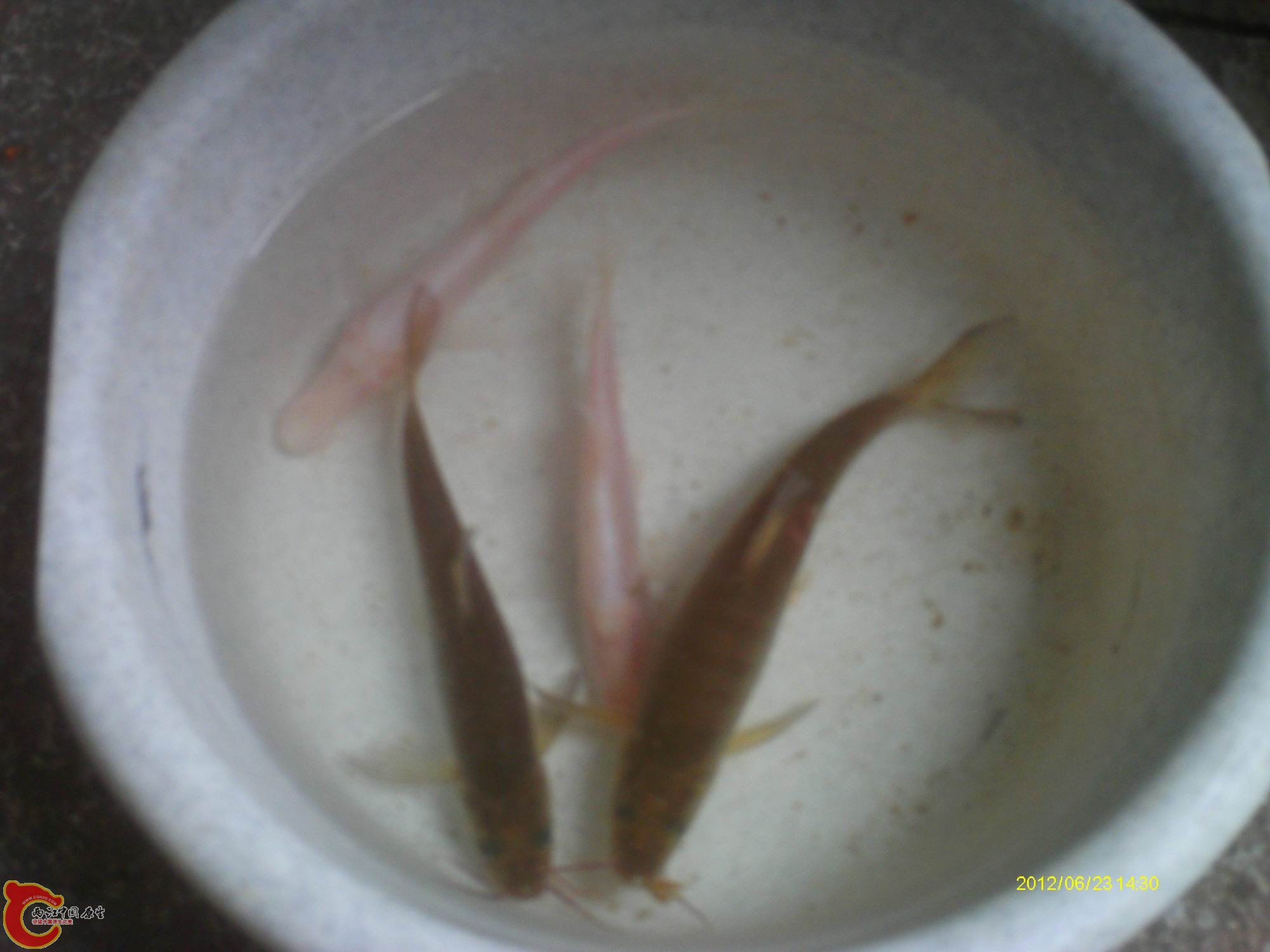 IMAG0060.JPG
