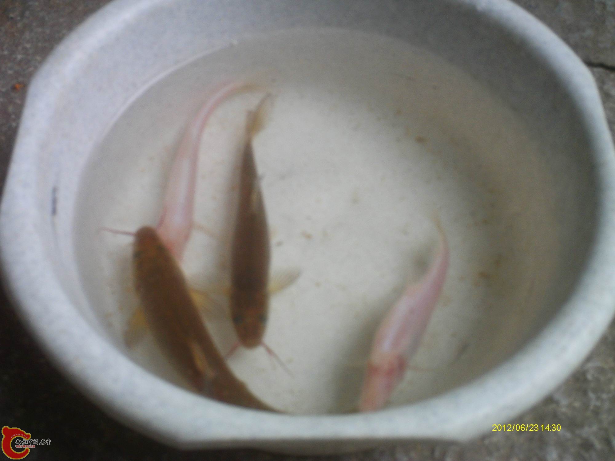 IMAG0063.JPG