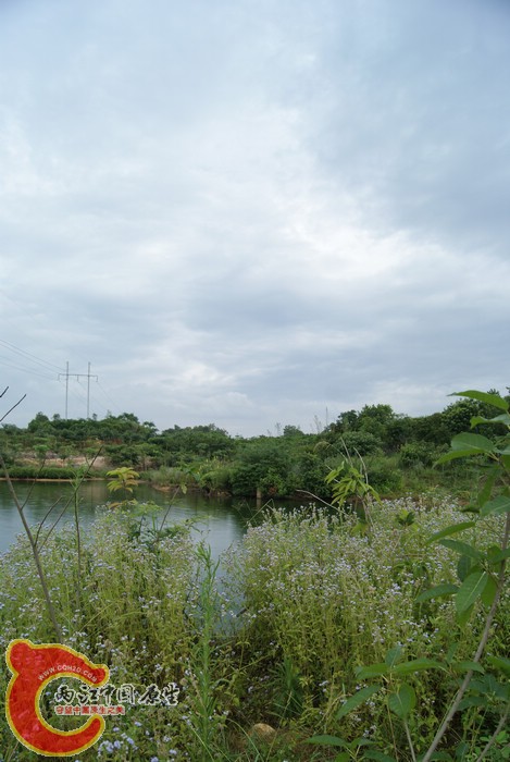 02.jpg