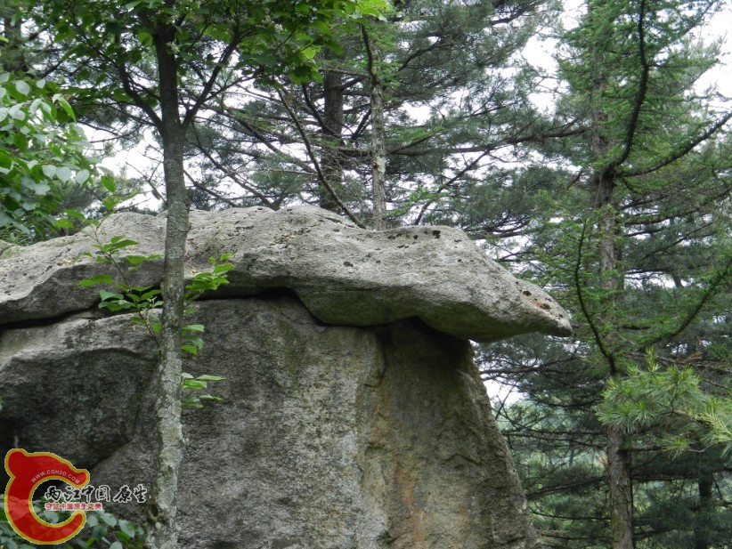 95.jpg