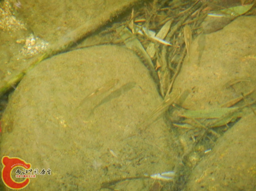 153.jpg