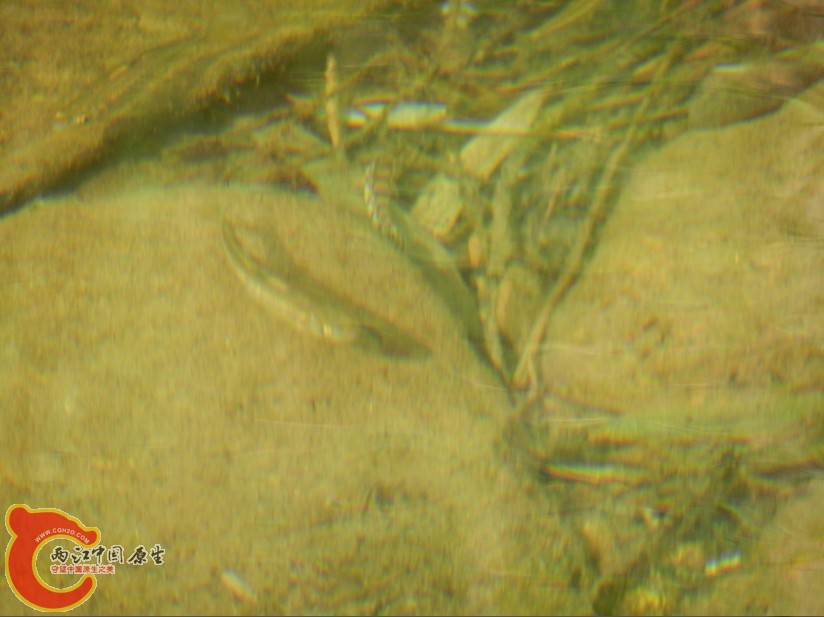 154.jpg