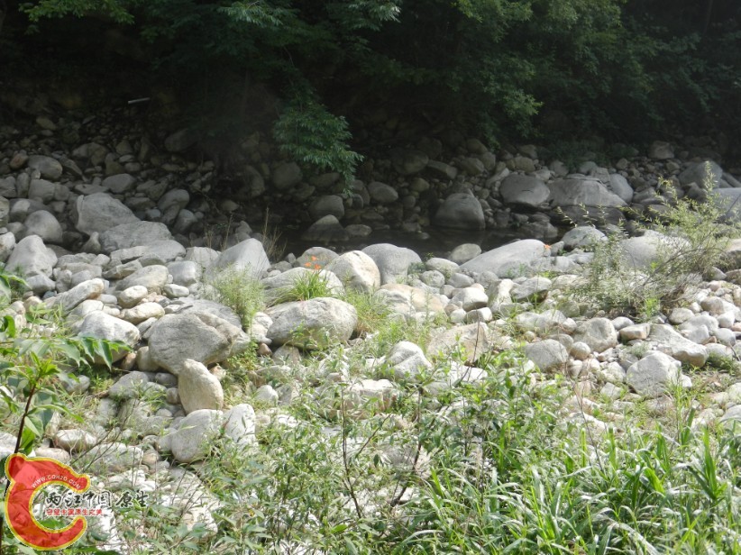 163.jpg