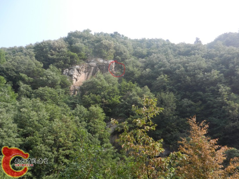 161.jpg