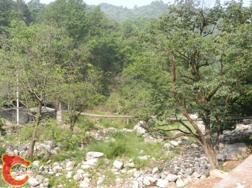 160.jpg