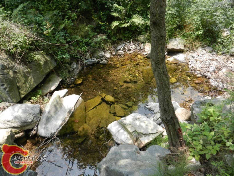 190.jpg