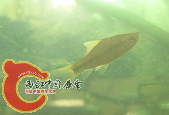 03.jpg