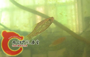 04.jpg