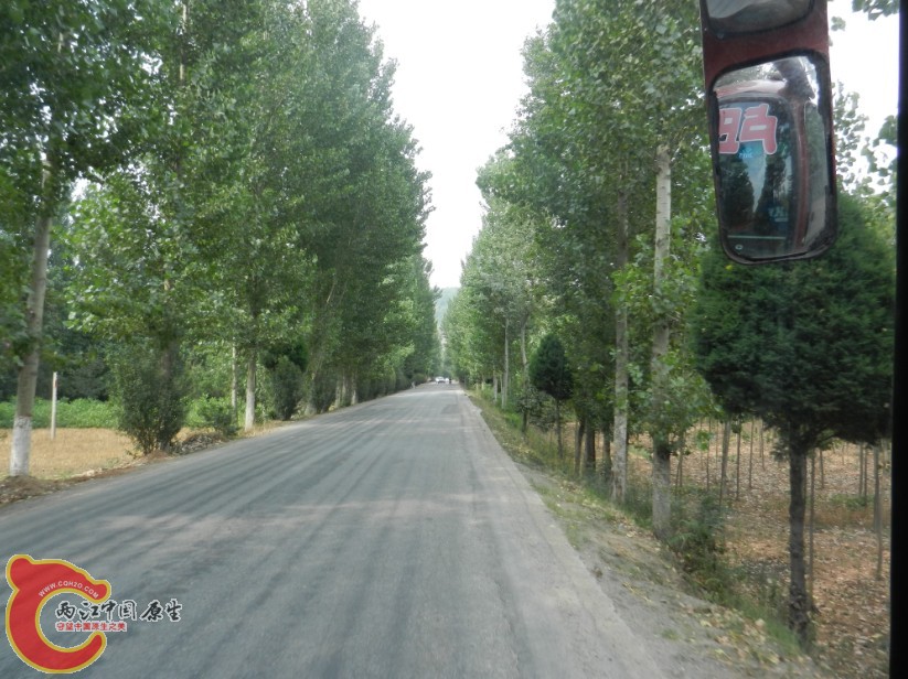 207.jpg