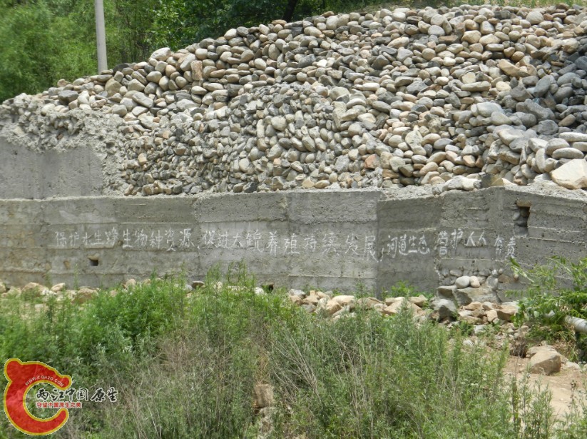203.jpg