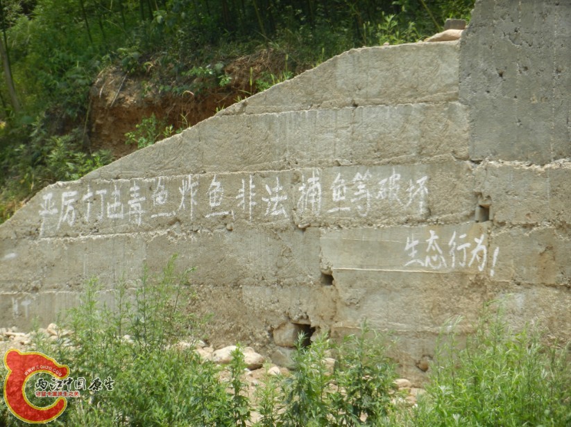 202.jpg