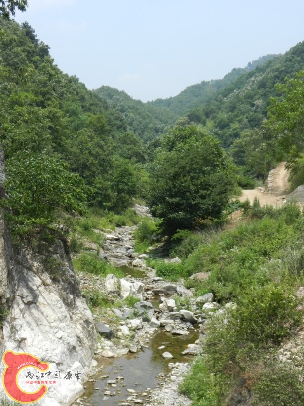 201.jpg