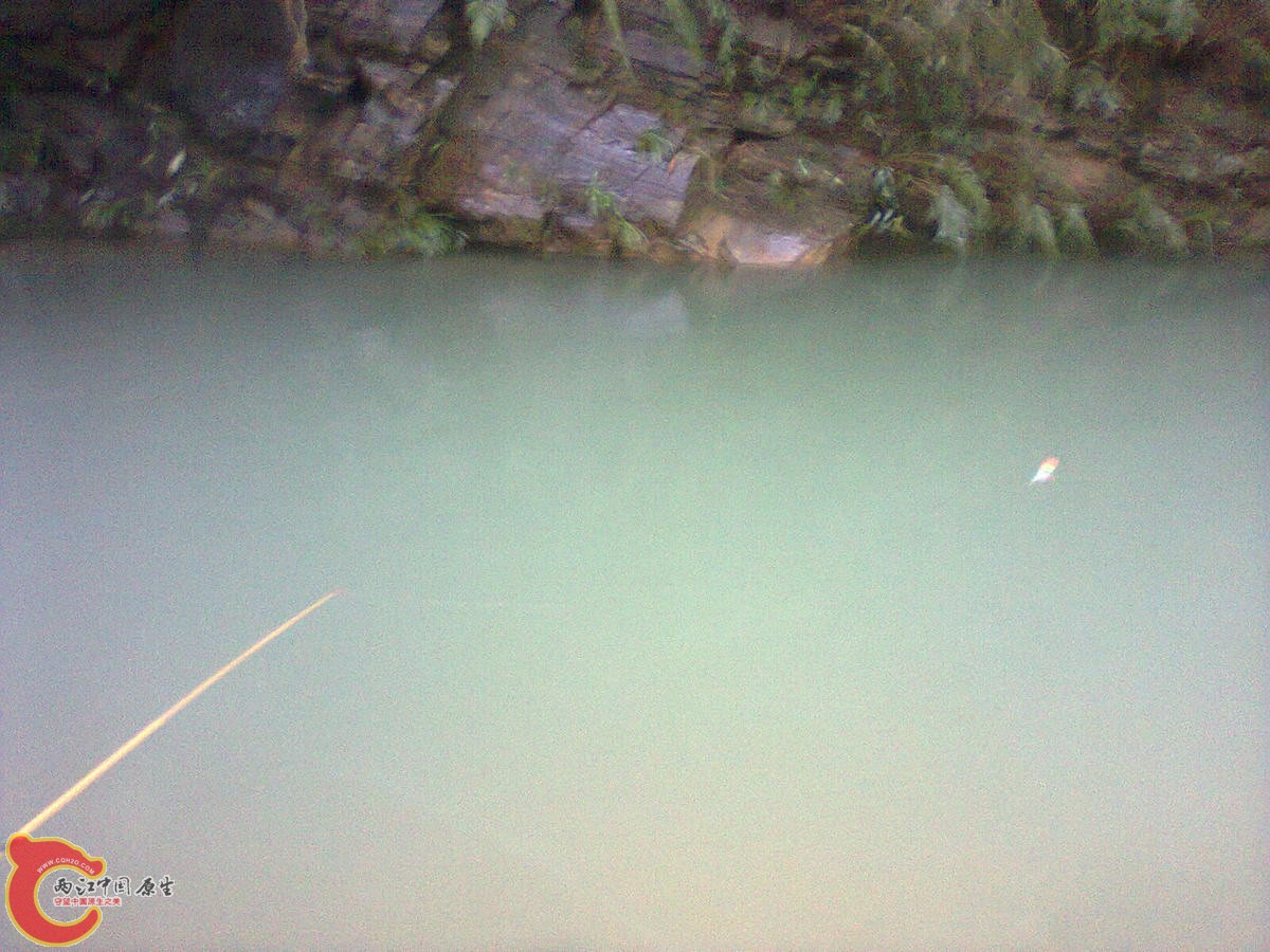 照片0654.jpg