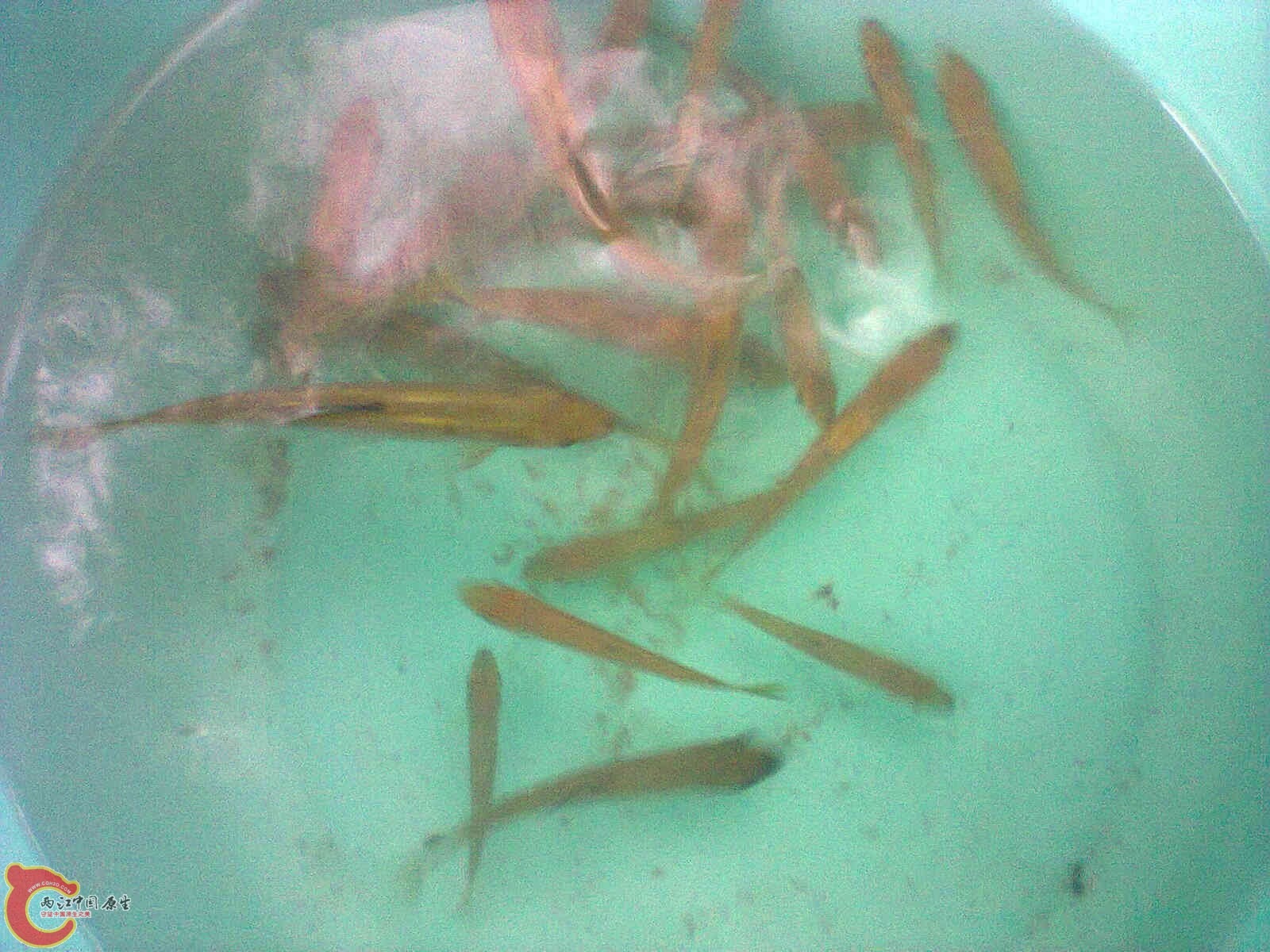 照片0653.jpg