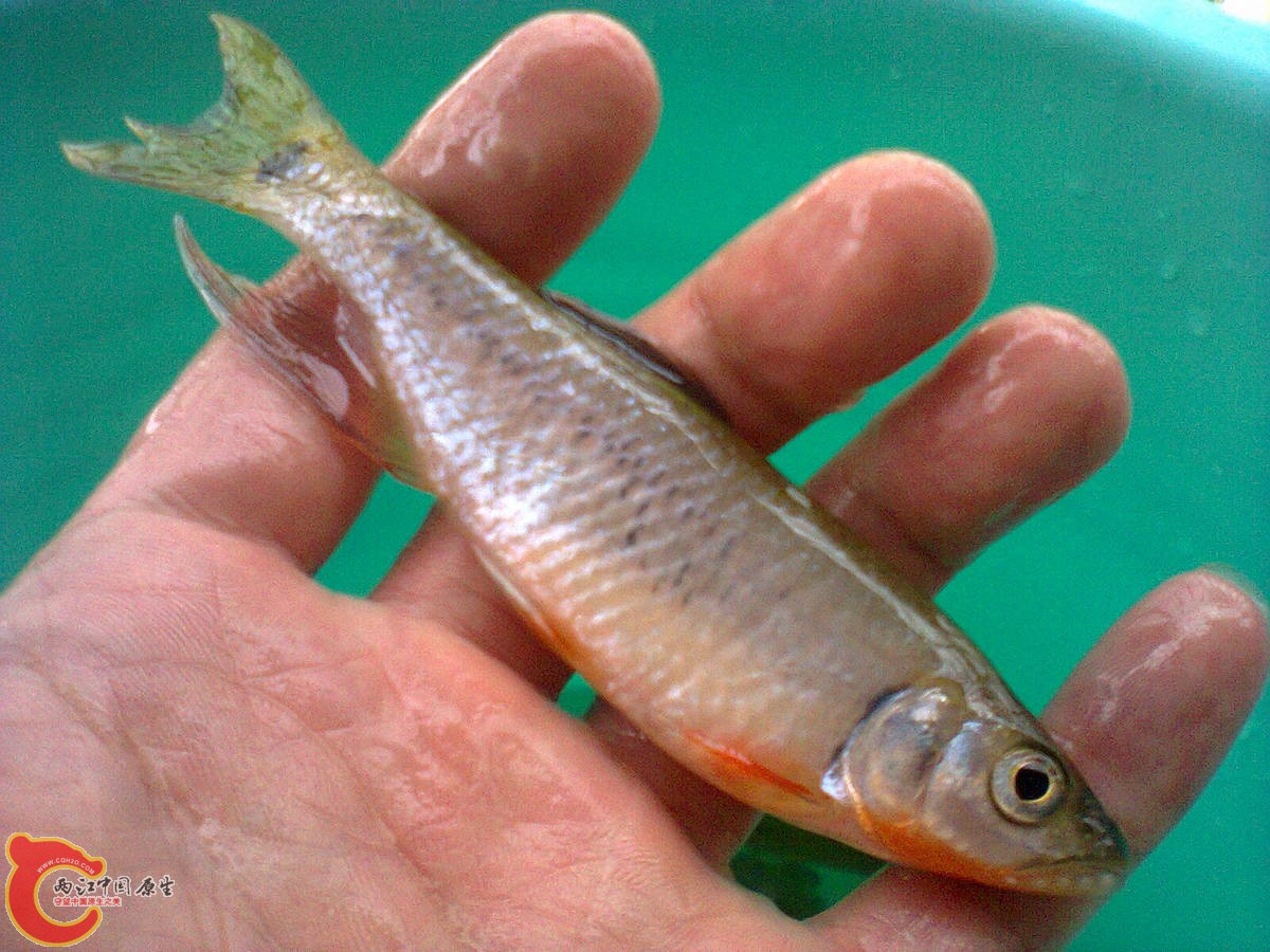 照片0656.jpg