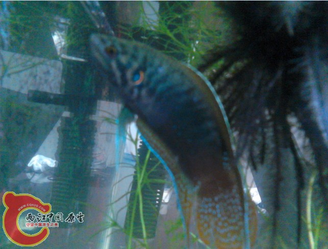 QQ截图20120625172303.jpg