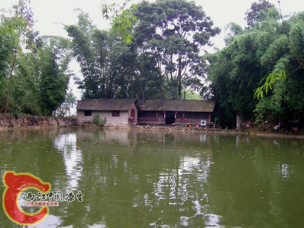 SNC13636.jpg