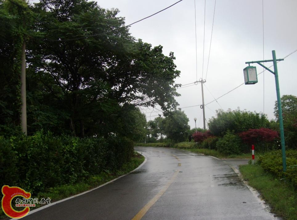 s-70.jpg