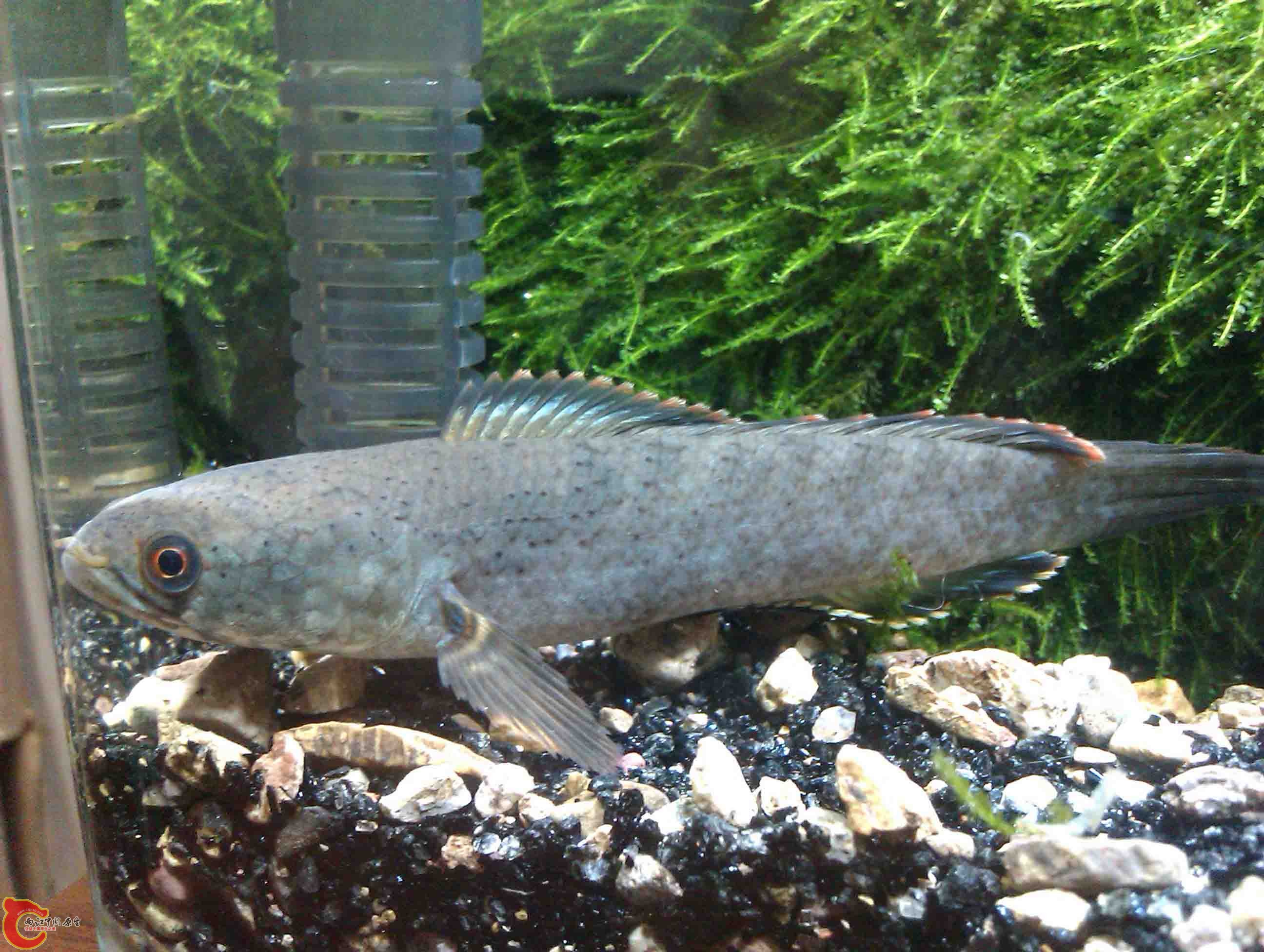 IMAG0564.jpg