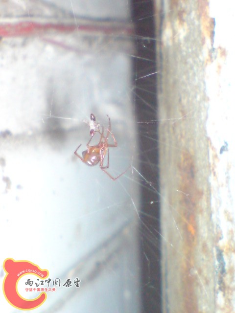 DSC00052.JPG